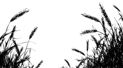 Obraz premium Dry Wheat In Wide Farmland, vector graphic