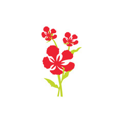 Red flower