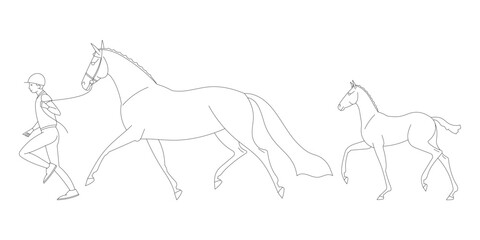 Person leading a mare with a foal walking alongside, simple line art style