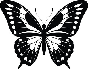 Butterfly silhouette isolated on white background