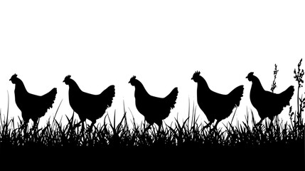 Chickens Walking Through Back Yard, vector illustration art