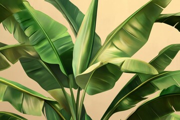 Lush, detailed illustration of tropical banana leaves against a light beige background.