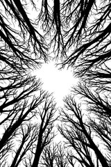 Light Peeking Through Forest Ceiling, coloring book style, vector illustration art