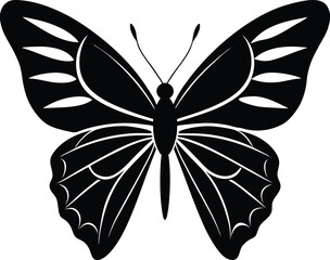 Butterfly silhouette isolated on white background