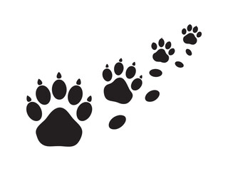 Bigfoot Footprints Trail in the Wilderness