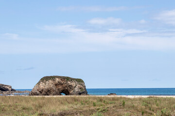 Beach with rock formation and dry grass under blue sky