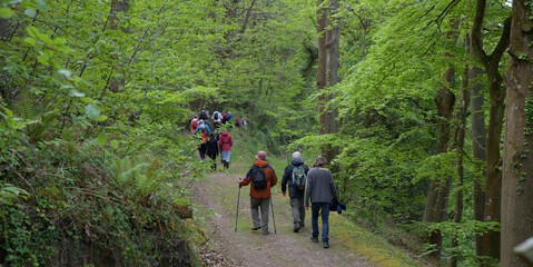 Groupe de randonneurs sur un sentier en Bretagne