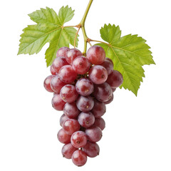 Fototapeta premium Bunch of ripe red grapes, fresh and juicy fruit with vibrant color, perfect for healthy snacks or wine-making, ample copy-space. Isolated on white background or PNG