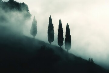 Silhouetted cypress trees stand on a foggy hillside, creating an atmospheric and serene scene.
