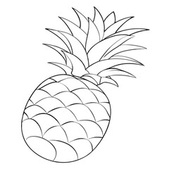 Obraz premium Outline of a Pineapple Sketch 