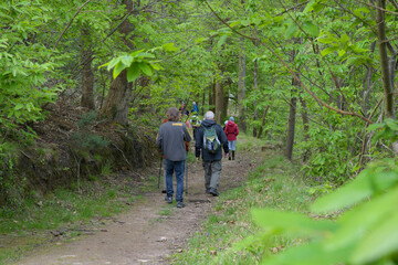 Obraz premium Groupe de randonneurs sur un sentier en Bretagne
