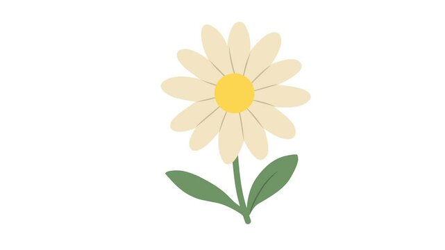 Simple Daisy Illustration with Green Leaves on White Background