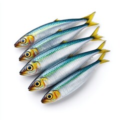 Five Fresh Silver Sardines on White Background