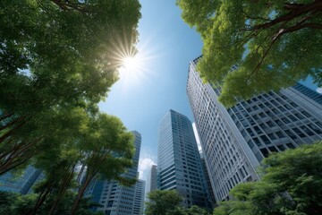 Obraz premium Skyscrapers with Trees and Sunlight