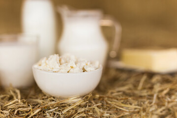 Milk, cottage cheese, cream, cheese on table against the background of hay