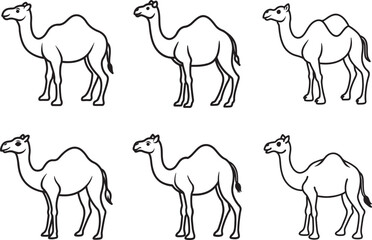 set of camel line art, black outline, vector and illustration, coloring book page line art drawing