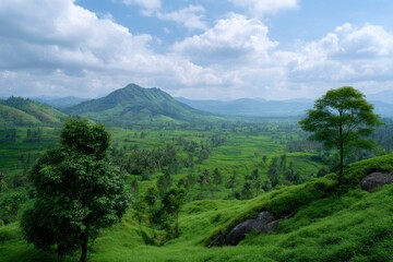 Obraz premium Green Valley with Hill and Trees