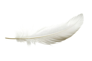Obraz premium Single White Feather: Purity, Elegance, and Delicate Beauty. Perfect for design projects needing a on transparent background