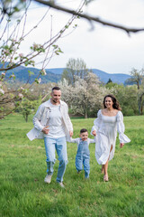 Fototapeta premium Young beautiful family walking in a field with blooming cherry trees. Dad, mom and little son playing in the garden outdoors.