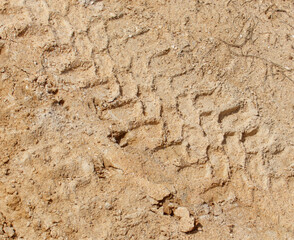 A tire track is imprinted in the sand