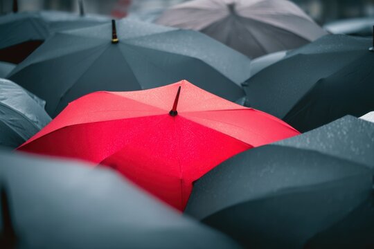 Red umbrella stands out among gray umbrellas on a rainy day in the city