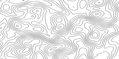 Topographic map of geology and contour map, white and gray luxury grid topography map,  geometric white abstract papercut of line topography, wood grain texture. dense lines Background.