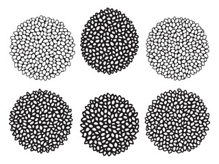 Stylized vector artwork of quinoa types in line art