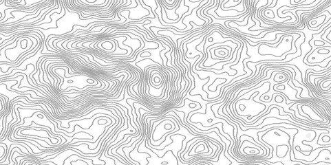 Abstract White wave paper curved reliefs background, geographic mountain relief abstract lines, perfect for maps textures and adventure topographic designs.