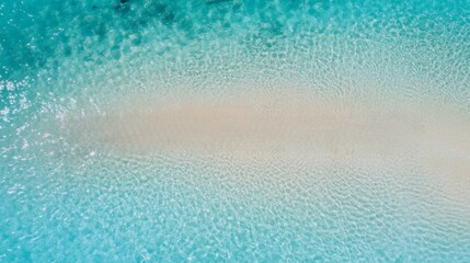 Women Holding Hands in a Line on a Tropical Beach