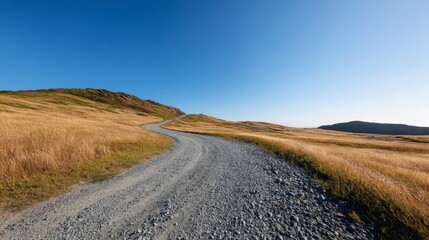 A gravel path curves through a bright meadow, with wildflowers and tall grass lining its edges, creating a tranquil atmosphere perfect for adventure