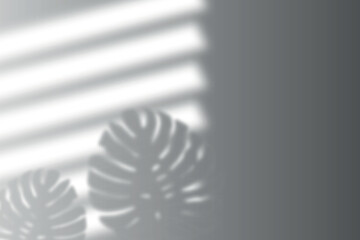 Tropical Hibiscus Flower and Shadow Overlay Background