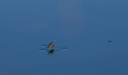 Drone flying high above a serene landscape during a clear blue sky, showcasing its advanced technology and outdoor exploration potential
