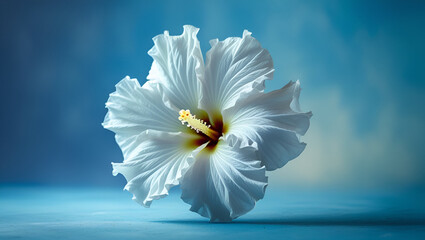 delicate fully bloomed white hibiscus fl ai genrative