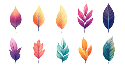 Fototapeta premium Professional Leaf Icon Logo Design Illustration Isolated on White Background