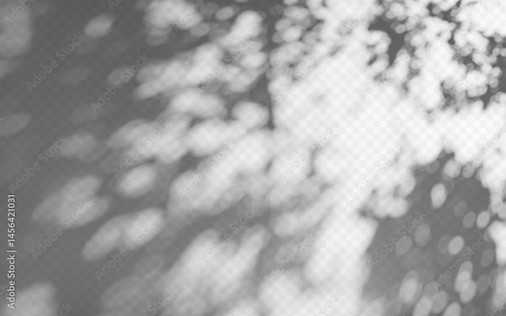 Wall mural abstract shadow overlay from tree branch on a transparent background.