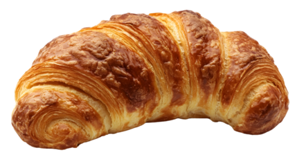 Fresh Breadnut Isolated on White Background for Food Design Projects