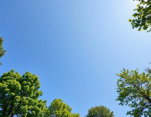 Obraz premium clear blue sky and green trees seen from below. carbon neutrality concept presented in a vertical format