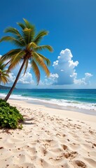 Fototapeta premium tropical beach panorama, seascape with a wide horizon, showcasing the beautiful expanse of the sky meeting the sea