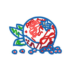 pomegranate whole grain leaf icon doodle illustration