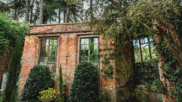 Overgrown abandoned brick building with broken window
