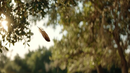 A feather floats gently in the air, illuminated by warm sunlight as it glides amidst lush greenery, capturing a tranquil moment in nature