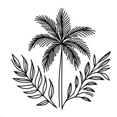 Tropical palm tree outline illustration with leaves on white background, single line outline vector
