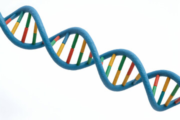 Colorful DNA strand representation on white background.