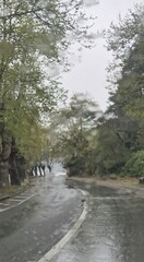road in the woods
