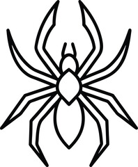 spider vector illustration line art