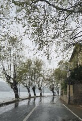 spring in the city