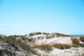 Sunny spring day by Baltic sea, Liepaja surroundings, Latvia.