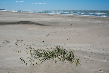 Sunny spring day by Baltic sea, Liepaja surroundings, Latvia.