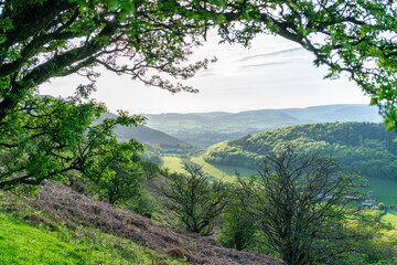 Obraz premium mountain landscape with trees, landscape with green hills and trees, the old Offa's Dyke path, at the border between Wales and England