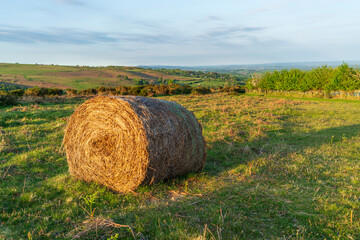 bales of hay